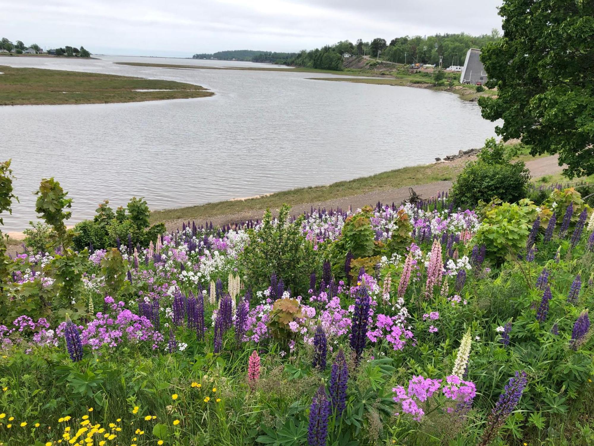 Pleasant Street Inn Parrsboro Luaran gambar